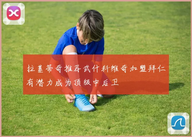 拉基蒂奇推荐武什科维奇加盟拜仁有潜力成为顶级中后卫