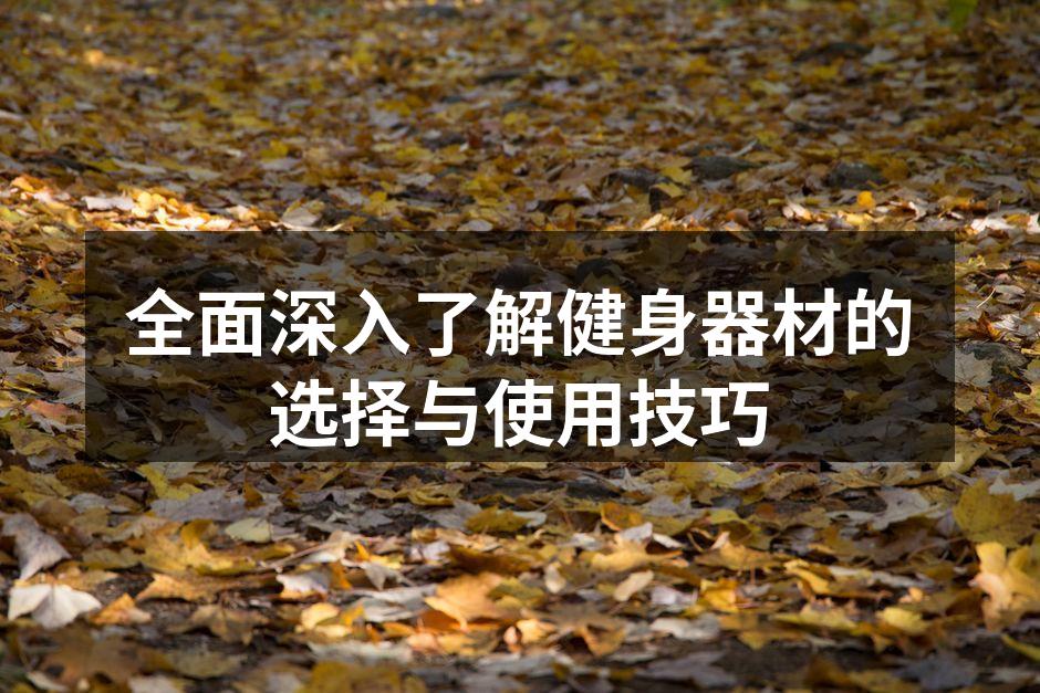 全面深入了解健身器材的选择与使用技巧
