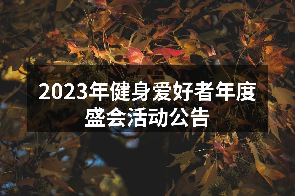 健身器材展示区热闹非凡