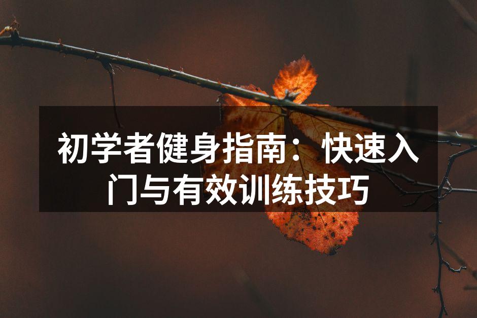 初学者健身指南：快速入门与有效训练技巧